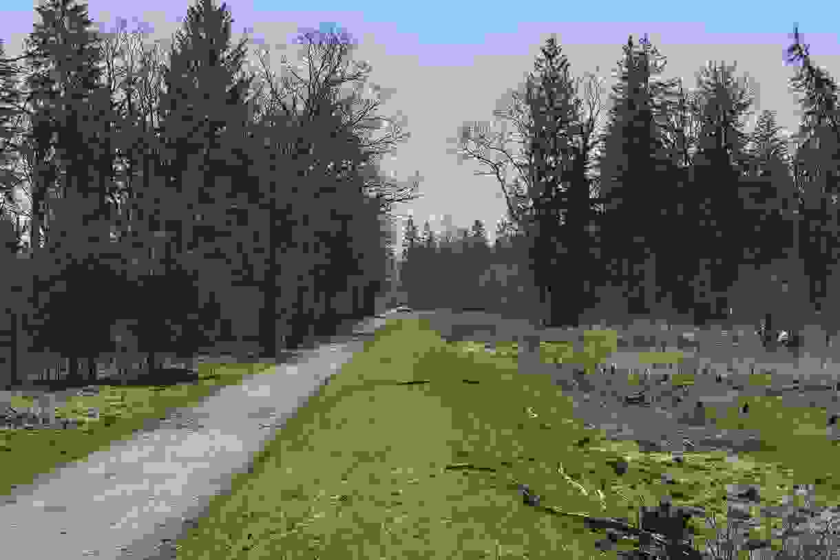 _nd56979.jpg