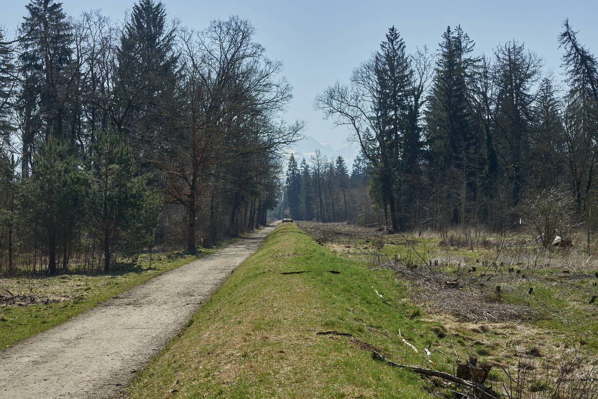 _nd56979.jpg _nd56979.jpg