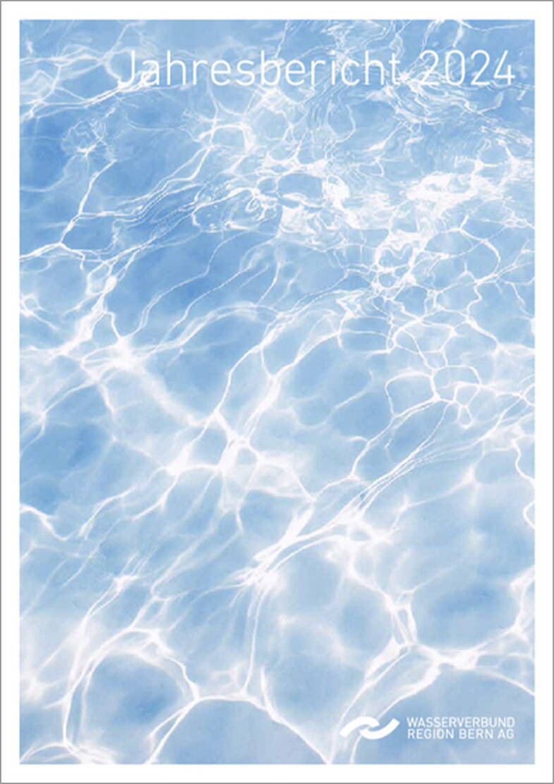 jahresbericht-2024.jpg